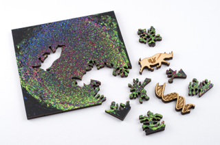 Illustration for article titled Explore the Microscopic World With These Gorgeous Scientific Puzzles